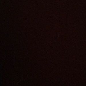 Meet your Posher, Eva